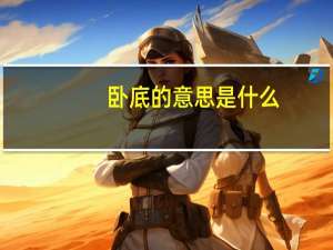 卧底的意思是什么