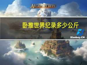 卧推世界纪录多少公斤