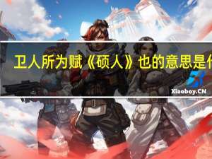 卫人所为赋《硕人》也的意思是什么