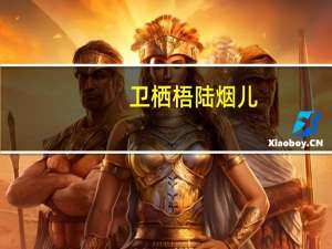 卫栖梧陆烟儿（卫栖梧）
