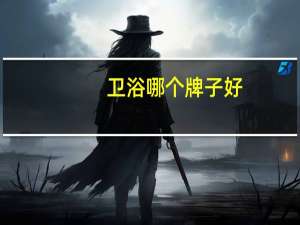卫浴哪个牌子好（卫生间洁具）