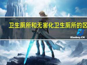 卫生厕所和无害化卫生厕所的区别（卫生厕所）