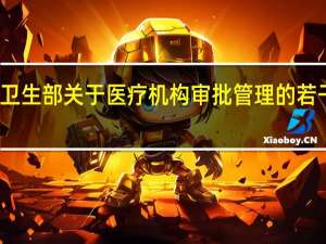 卫生部关于医疗机构审批管理的若干规定