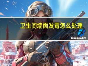 卫生间墙面发霉怎么处理