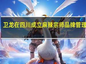 卫龙在四川成立麻辣宗师品牌管理公司