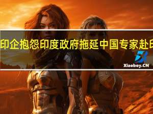 印企抱怨印度政府拖延中国专家赴印签证：公司生产将受到影响