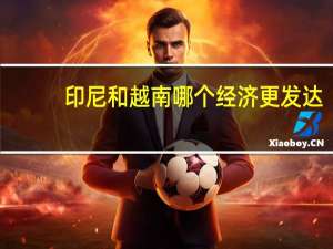 印尼和越南哪个经济更发达