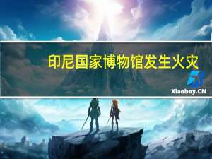 印尼国家博物馆发生火灾