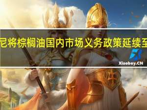 印尼将棕榈油国内市场义务（DMO）政策延续至2024年