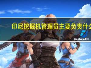 印尼挖掘机管理员主要负责什么