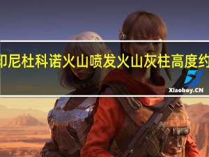 印尼杜科诺火山喷发 火山灰柱高度约800米