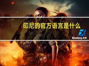 印尼的官方语言是什么