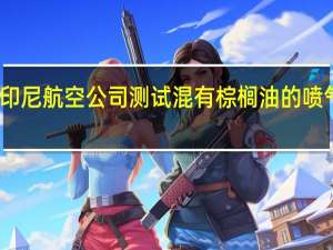 印尼航空公司测试混有棕榈油的喷气燃料