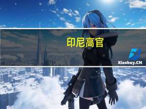 印尼高官：预计马斯克下月访问印尼洽谈星链事宜