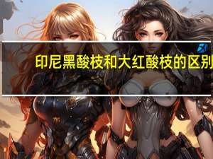 印尼黑酸枝和大红酸枝的区别