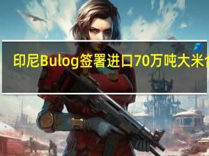 印尼Bulog签署进口70万吨大米合同