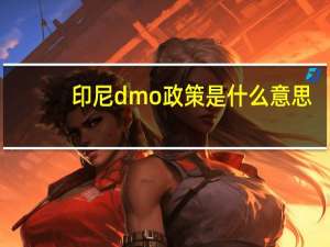 印尼dmo政策是什么意思