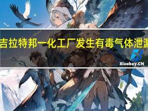 印度古吉拉特邦一化工厂发生有毒气体泄漏 18人被送医