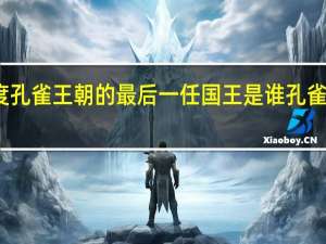 印度孔雀王朝的最后一任国王是谁孔雀王朝灭亡