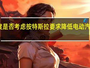 印度是否考虑按特斯拉要求降低电动汽车进口税？印商工部长回应