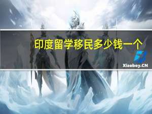 印度留学移民多少钱一个