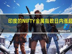 印度的NIFTY金属指数日内涨超2%