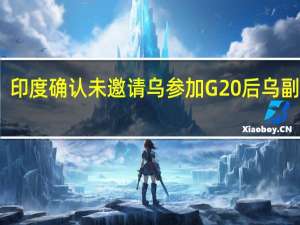印度确认未邀请乌参加G20后乌副外长：仍寻求获邀