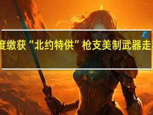 印度缴获“北约特供”枪支 美制武器走私新证据