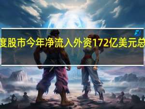 印度股市今年净流入外资172亿美元总市值达3.75万亿美元创新高