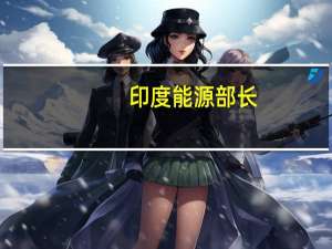 印度能源部长：油价接近80美元/桶或更低对消费者有利