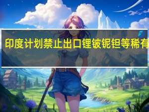印度计划禁止出口锂铍铌钽等稀有金属