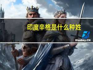 印度辛格是什么种姓