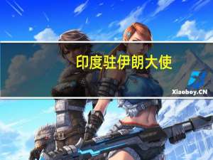 印度驻伊朗大使：印度着眼于与伊朗发展经贸关系