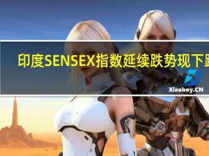 印度SENSEX指数延续跌势现下跌0.5%