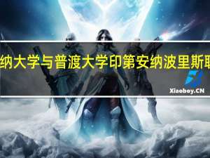 印第安纳大学与普渡大学印第安纳波里斯联合分校专业