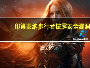 印第安纳步行者披露安全漏洞