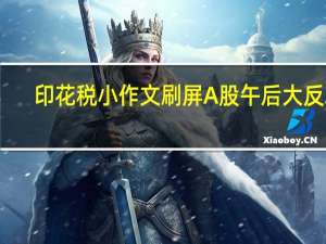 印花税小作文刷屏A股午后大反攻