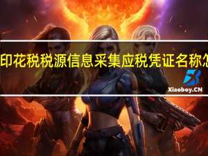 印花税税源信息采集应税凭证名称怎么填