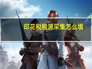 印花税税源采集怎么填