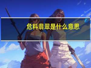 危料翡翠是什么意思