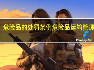 危险品的处罚条例 危险品运输管理条例