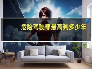 危险驾驶罪最高判多少年