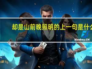 却是山前晚照明的上一句是什么
