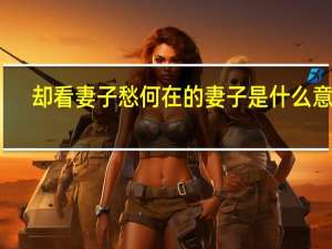 却看妻子愁何在的妻子是什么意思