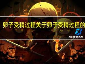 卵子受精过程 关于卵子受精过程的介绍