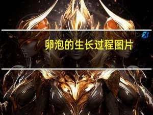 卵泡的生长过程图片（卵泡的生长过程）