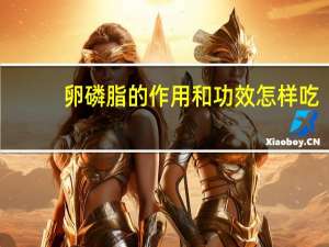 卵磷脂的作用和功效怎样吃（卵磷脂的作用和功效）