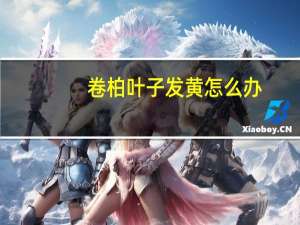 卷柏叶子发黄怎么办