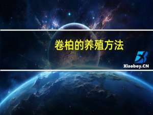 卷柏的养殖方法：生长期间每天用"温水"喷洒叶丛