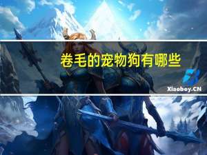 卷毛的宠物狗有哪些